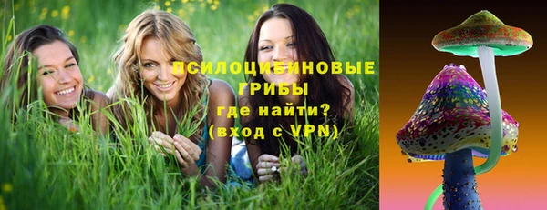 трава Верхнеуральск