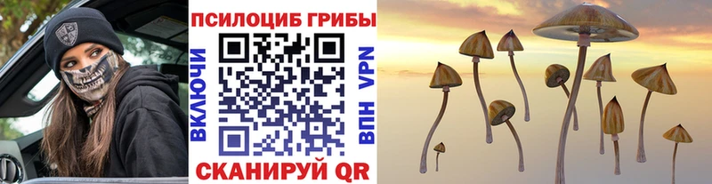 Псилоцибиновые грибы MAGIC MUSHROOMS  Воткинск 