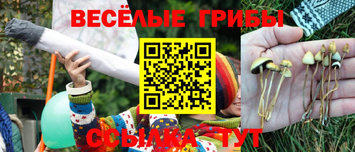 где найти наркотики  Вход с VPN  Воткинск  Галлюциногенные грибы Cubensis 