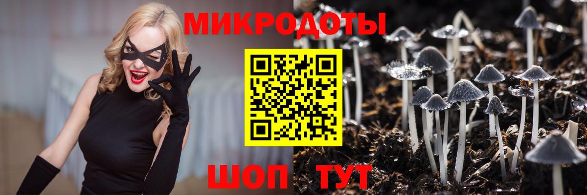 Псилоцибиновые грибы Psilocybe Воткинск